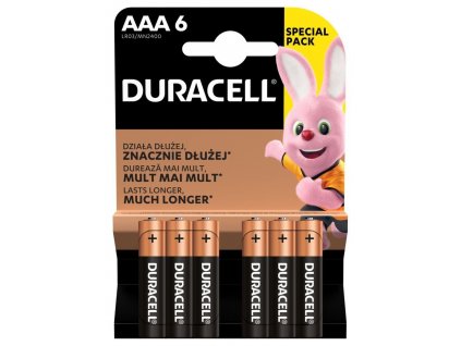DURACELL Basic AAA 6ks