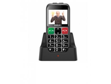 EVOLVEO EasyPhone EB stříbrný (EP-850-EBS)