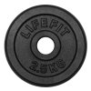 LifeFit Kotouč 2,5kg, kovový, pro 30mm tyč (F-KOT30-025)