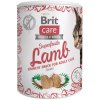 Brit Care Cat Snack Superfruits Lamb 100g pamlsky pro kočky (8595602555697)