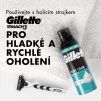 gillette original sensitive pena 250ml image1 big ies98679548