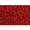 Seed beads 8/0 97070