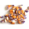 Tiny 3D Bicones orange white and purple