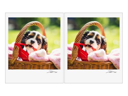 polaroidky 10x14,8 2kusy barva