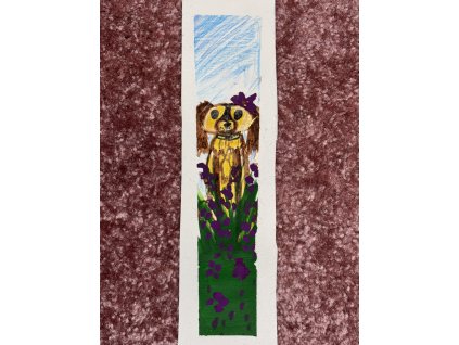 ZÁLOŽKY DO KNÍŽEK