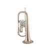 cerveny-cfh703f-flugelhorn-main