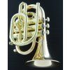 Carol Brass CPT-3000-GLS-Bb-L
