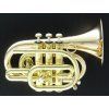 Carol Brass CPT-3000-GLS-Bb-L