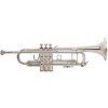 Vincent Bach  180S -37ML
