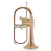 roybenson-fh302g-flugelhorn-main