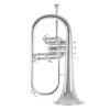 roybenson-fh302s-flugelhorn-main