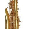 GEWA Germany Es altosaxofon AS650 Abition, lakovaný s pouzdrem