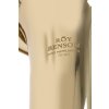 B Tenor Roy Benson TH-202 – Bb tenor, 3ventilový, mosazný, lakovaný s pouzdrem