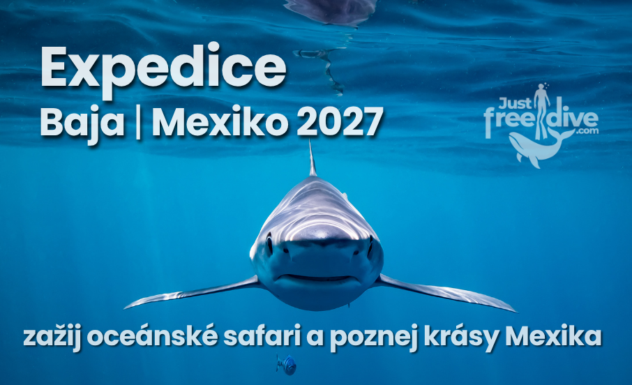 Expedice Baja Mexiko 2027