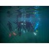 lead eshop