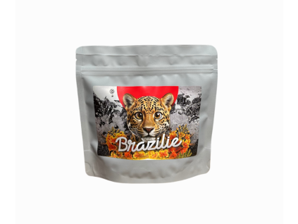 Brazílie na es