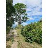 panama