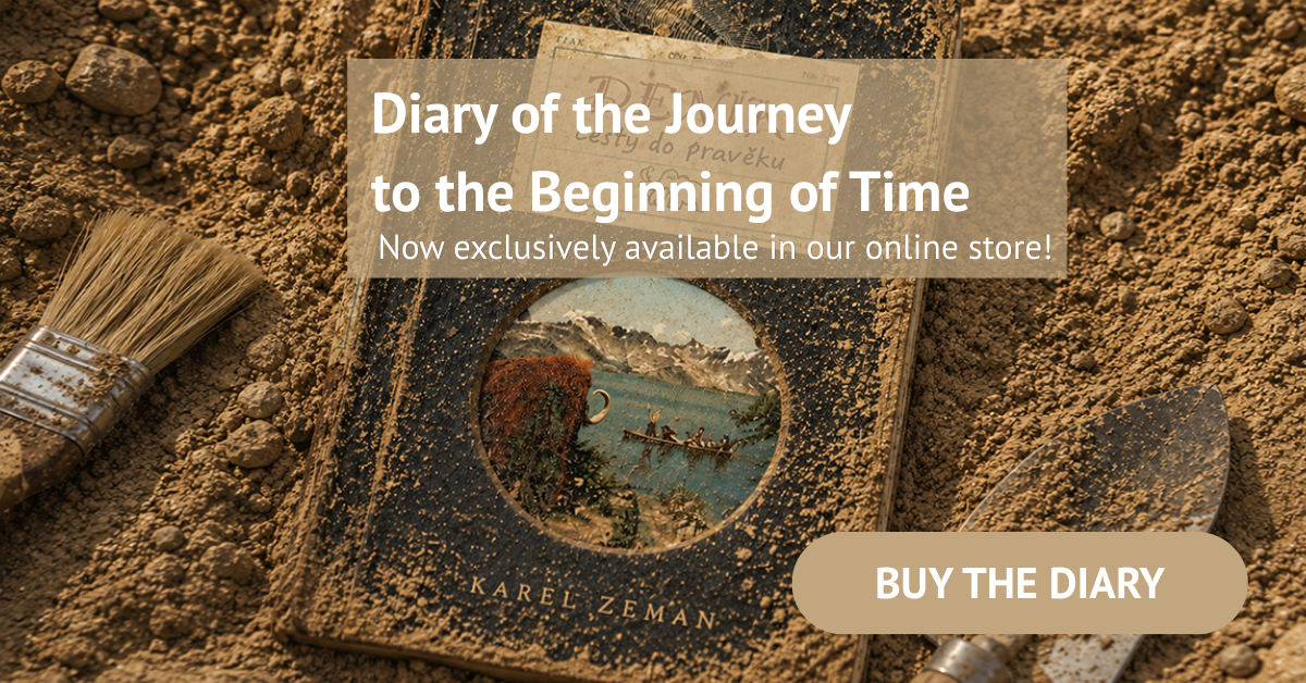 Diary web