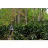 Nicaragua Dipilto 03