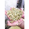Nicaragua Dipilto 05