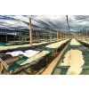 Nicaragua Dipilto 09