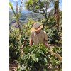 Costa Rica Tarrazu Decaf 02
