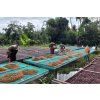 Indonesia Argopuro 03