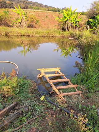 Na farmě jsme postupně vybudovali čtyři rybníky 💧🌊 Ty nám slouží pro zadržování vody v krajině, abychom pro naše rostliny...