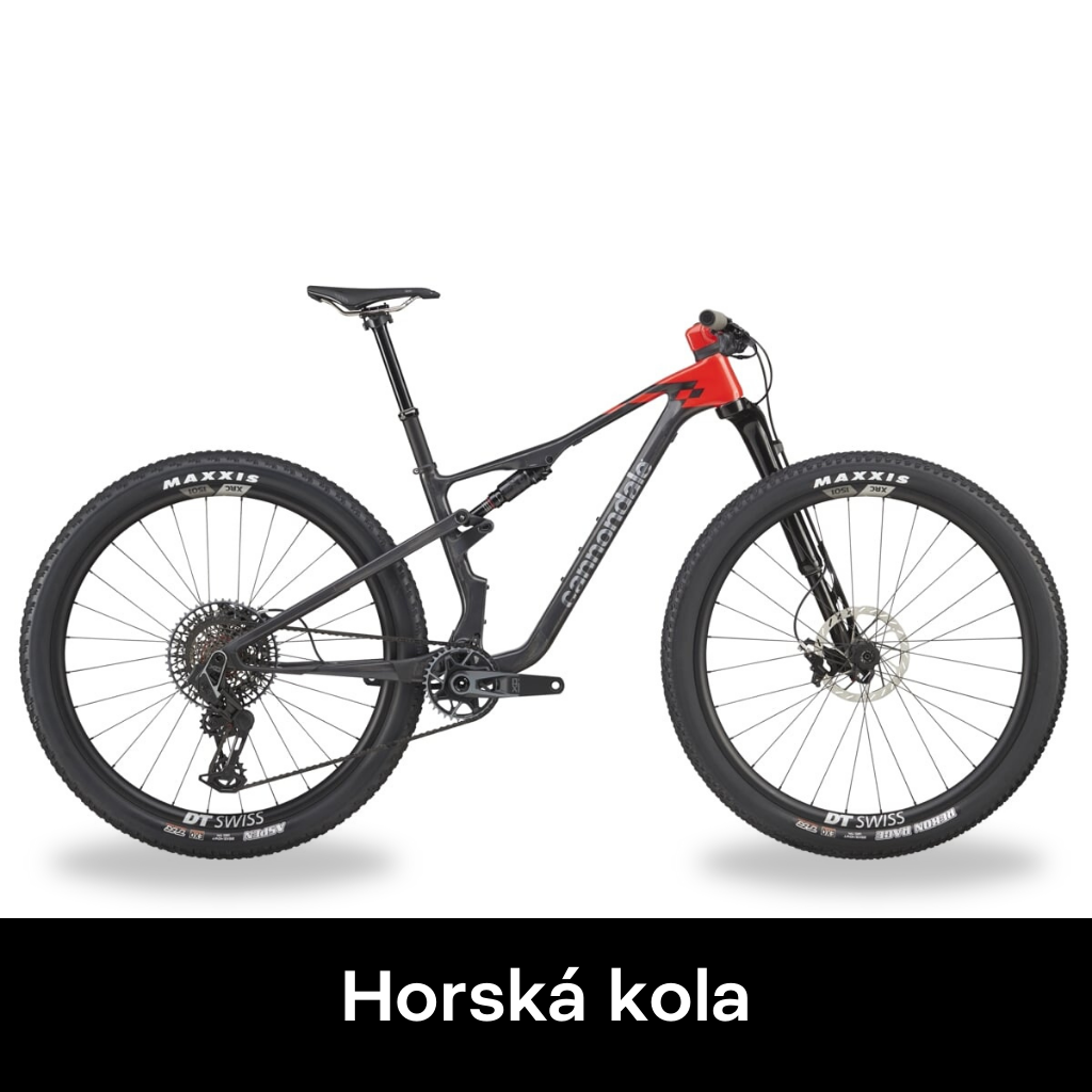 horska_cann