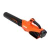 DPB 310 cordless blower prod wide desktop
