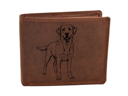 penezenka samir retrivr