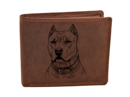 Americký pitbulteriér  pitbull