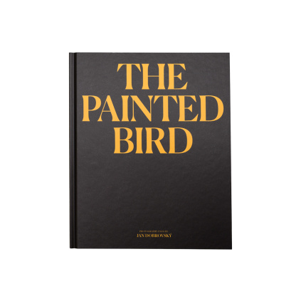 The painted bird1