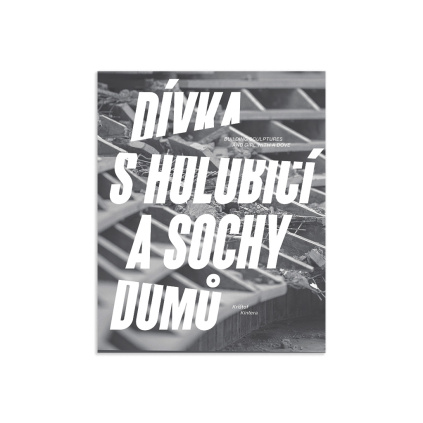 web dívka s holubicí1