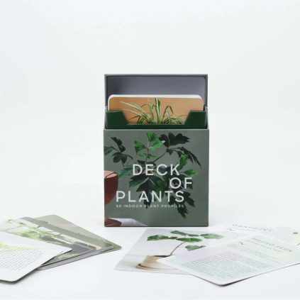 Karetní balíček Leaf Supply – pokojové rostliny