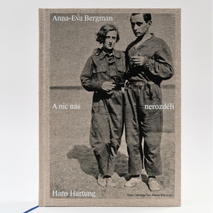 hartung bergman katalog
