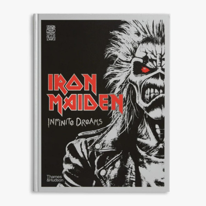 iron maiden infinite dreams kniha