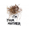 i'm your mother k kintera 01