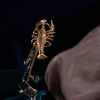 Crayfish Ring – gold-plated silver  Dick Wolf