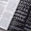 kniha identity (4)
