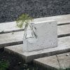 Vlnkova Vase