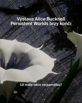 Výstava Alice Bucknell: Persistent Worlds se pomalu blíží ke konci, ale kousek jejich imaginárních světů si pořád můžete...