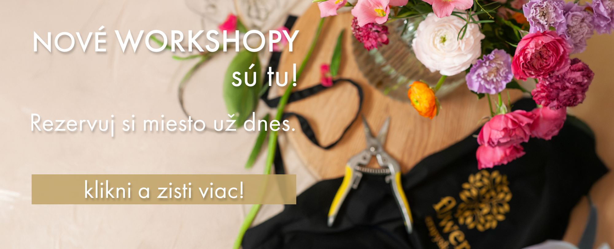 Nové workshopy - August
