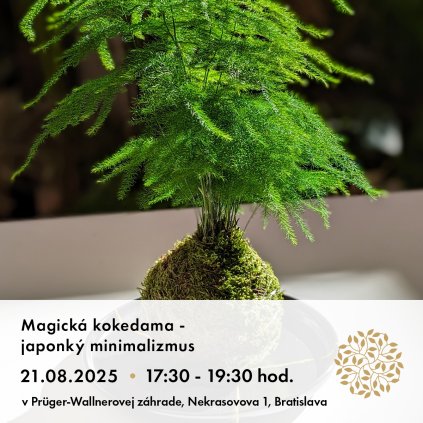 21.8 Magicka kokedama 1x1 copy