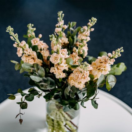 Flower Therapy Matthiola