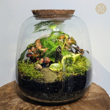terarium 1x1
