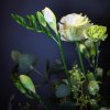 Flower therapy flower letterebox cista (1)