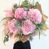 Flower therapy flower hortenzia2