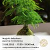 21.8 Magicka kokedama 1x1 copy