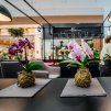 kokedama orchidea2